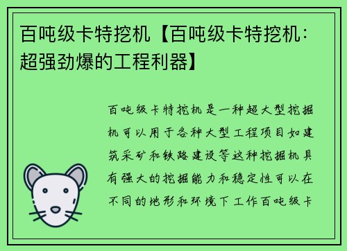 百吨级卡特挖机【百吨级卡特挖机：超强劲爆的工程利器】